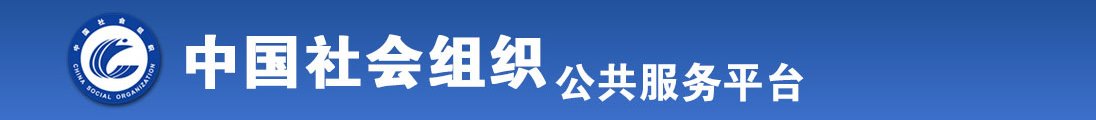 污污污啪啪啪操操操全国社会组织信息查询